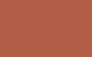 70009 Bright Red